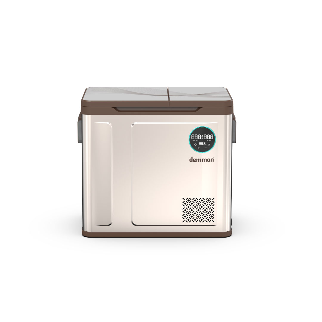 Demmon Araç Buzdolabı WXR55-2