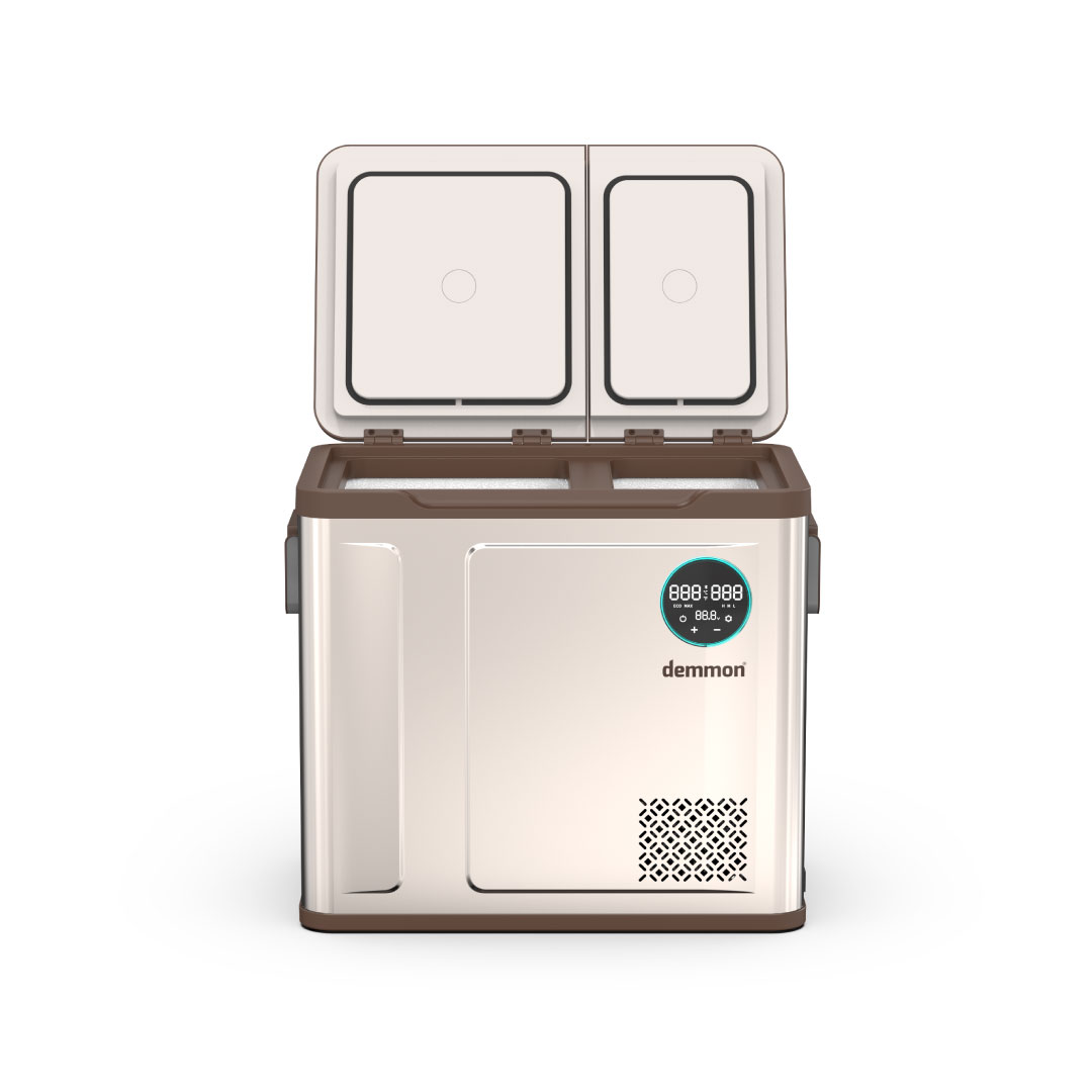 Demmon Araç Buzdolabı WXR55-3
